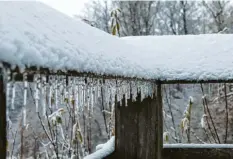  ?? Foto: Christof Paulus ?? Der Dezember beginnt klirrend kalt – dass es ziemlich frostig ist, zeigen auch diese Eiszapfen in Herkheim im Landkreis Donau‰Ries.