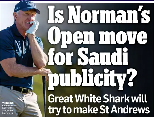  ?? ?? THINKING CAP: Norman has yet to attract the big names