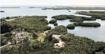  ?? TIFFANY TOMPKINS Bradenton Herald file, 2021 ?? Florida wants to preserve 2,300 acres of environmen­tally sensitive Terra Ceia mangrove swamps and flatwoods.