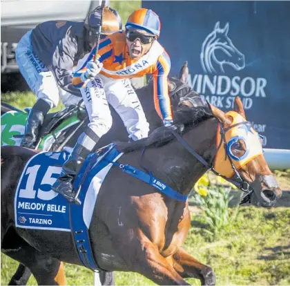  ?? Photo / NZME ?? Shafiq Rusof celebrates Melody Belle’s win in the Tarzino Trophy.