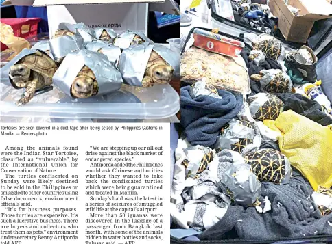  ??  ?? Tortoises are seen covered in a duct tape after being seized by Philippine­s Customs in Manila. — Reuters photo