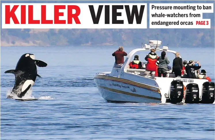  ?? — THE ASSOCIATED PRESS FILES ?? In this July 2015 photo, a killer whale leaps out of the water near a whale-watching boat in the Salish Sea near the San Juan Islands, Wash.