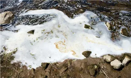  ?? Photograph: Jake May/The Flint Journal/AP ?? PFAS foam in Oscoda Township, Michigan, near the former Wurtsmith air force base.