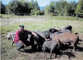  ?? CHAD HIPOLITO THE CANADIAN PRESS ?? Vancouver Island farmer Dave Semmelink sells to subscripti­on service Meatme.