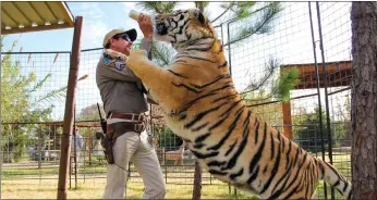  ?? NETFLIX ?? Joe Exotic in “Tiger King”