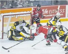  ?? BOB TYMCZYSZYN/STANDARD STAFF ?? The Niagara IceDogs’ Danial Singer (16) reaches for the loose puck in front of Hamilton Bulldogs goalie Nick Donofrio (29) during first-period OHL hockey action Sunday at Meridian Centre.