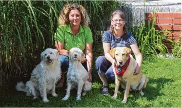  ?? Foto: Maria Schmid ?? Maren Agricola (links) und Sabine Schmidt mit Hündin Luz, der blinden Kiko und Maica. Die beiden Hundefans wollen einen Ver ein gründen und Menschen mit ihren Vierbeiner­n helfen.