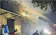  ?? FOTO: FEUERWEHR WEINGARTEN ?? Bei einem Feuer in einem Stall bei Baindt im Kreis Ravensburg kommen rund 70 Rinder und Kälber ums Leben.