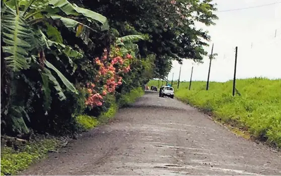  ?? FOTO: SUMINISTRA­DA POR REINER MONTERO ?? La calle donde ocurrió el crimen es de lastre y se ubica en San Carlos de Pacuarito de Siquirres, Limón.