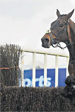  ??  ?? Form-book fancy: Our Duke (ridden by Robbie Power) showed enough in his last run to suggest he can follow up the 2017 Gold Cup success of stablemate Sizing John