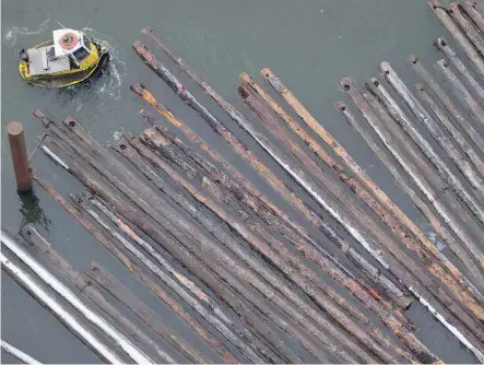  ?? DARRYL DYCK/THE CANADIAN PRESS ?? A worker in a boat moves logs on the Fraser River in Delta, B.C. Forestry firms across Canada fear thousands of sawmill jobs are threatened if the U.S. slaps duties on softwood, which one analyst predicted could be a “shock and awe” level of 30 to 40...