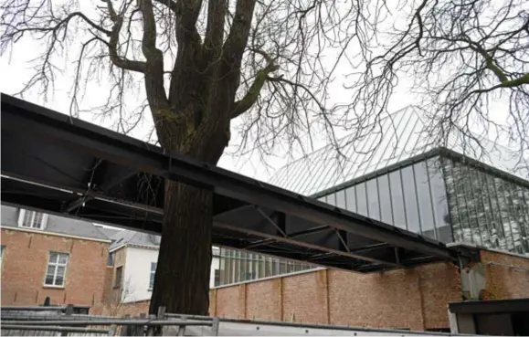  ?? FOTO JAN VAN DER PERRE ?? De stalen brug versmacht een waardevoll­e Japanse notenboom, de betonnen fundering van de luifel bedekt de wortels.