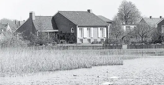  ?? BILD: Günter Nordhausen ?? 1967: Schilfgürt­el umgeben die Tonkuhle, Wasservöge­l ziehen ihre Kreise.