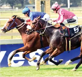  ??  ?? RESTED. Forafewdol­larsmore, pictured winning his debut on 11 May, has been rested since but could keep his winning record intact when he runs in Race 5 at the Vaal Classic meeting tomorrow.