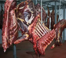  ?? FRANCISCO BERNARDO|EDIÇÕES NOVEMBRO ?? Resultados da inspecção da carne importada do Brasil são hoje divulgados pelas autoridade­s