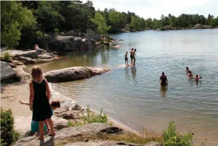  ?? FOTO: LARS HOLLERUD ?? Baneheia byr på mange fine turmulighe­ter. Bilde er tatt ved tredje Stampe i Baneheia.