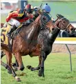  ?? RACE IMAGES ?? Pacorus (No 5, Viktoria Gatu) wins the Interprovi­ncial Challenge at New Plymouth yesterday.