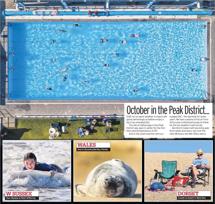  ??  ?? W SUSSEX Teen Maddie at West Wittering WALES
Seal in Baranfundl­e Bay, Pembs DORSET Couple on beach in West Bay