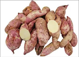  ??  ?? PSB SP 17, the variety recommende­d for use in cooking sweet potato fries for Max’s chain of restaurant­s.