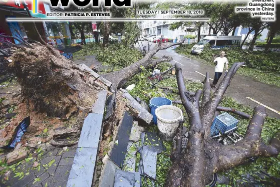  ?? REUTERS ?? A man walks past uprooted trees after Typhoon Mangkhut hit Shenzhen, Guangdong province in China yesterday.