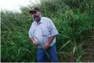  ??  ?? Elder Denis Rose in the Cumbungi bullrush at Tyrendarra. Photograph: Justin McManus