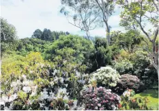  ??  ?? Hill view . . . The outlook from Glenmorang­ie is to bushclad hills.