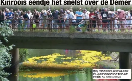  ?? Foto RONNY VANTHIENEN ?? Heel wat mensen kwamen langs de Demer supportere­n voor hun eendje.