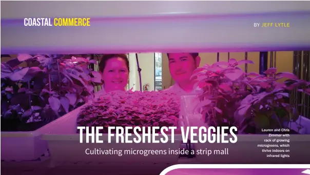  ??  ?? Lauren and Chris Zimmer with rack of growing microgreen­s, which thrive indoors on infrared lights