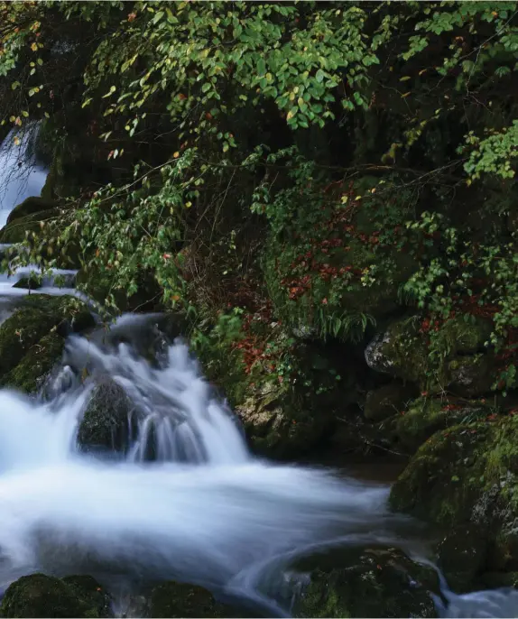  ?? Slovic Waterfall ??