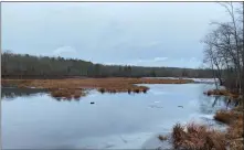  ?? BETSY GRAHAM ?? Phillips Pond is among dozens of ponds and lakes in Pachaug State Forest.