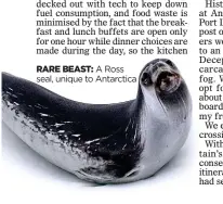  ??  ?? RARE BEAST: A Ross seal, unique to Antarctica