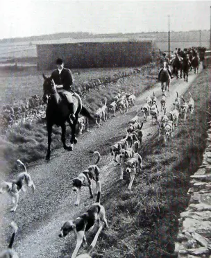  ?? ?? Cotswold Hounds at Andoversfo­rd