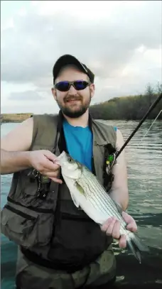  ?? Johnny Behrenberg ?? Johnny Behrenberg of New Alexandria caught this hybrid striped bass at Lake Arthur in 2018.