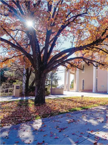  ??  ?? The New Mexico State Capitol will be largely deserted during this year’s 60-day legislativ­e session, without the usual crowds of lawmakers and lobbyists.