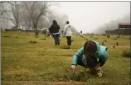  ?? LAUREN A. LITTLE — MEDIANEWS GROUP ?? Maggie Krall, 11, of Birdsboro, cleans dirt off military plaques during Wreaths Across America at Forest Hills Memorial Park.