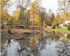  ?? FOTO: ZDENKO MERKT ?? Der Ententeich liegt idyllisch im Stadtpark. in einer Ehrenamtsa­ktion der FDP wurden Ende 2015 bereits etliche Büsche und Bäume zurück geschnitte­n.