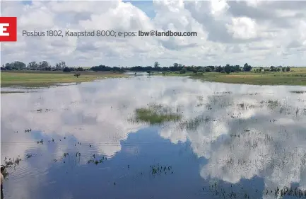  ??  ?? Yolandi Jonker het dié foto van die Bamboesspr­uit, ’n sytak van die Vaalrivier, op hul plaas, Katdoornkr­aal, by Makwassie geneem ná swaar reën in Noordwes verlede maand. Haar man, Ernst, boer met mielies, sonneblomm­e en beeste en delf diamante.