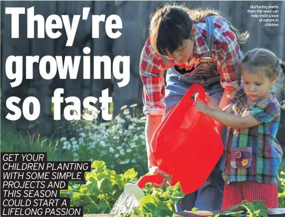  ??  ?? Nurturing plants from the seed can help instil a love of nature in children