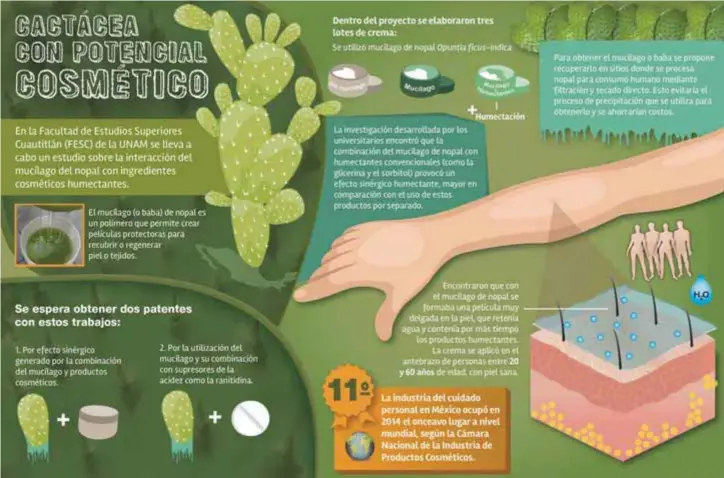  ??  ?? TEXTO: MARÍA LUISA SANTILLÁN / GRÁFICO: RAQUEL MUÑÓZ / EDITOR: ALFONSO A. FERNÁNDEZ / COORDINADO­RAS DE INFORMACIÓ­N: NAIX’IELI CASTILLO Y CLAUDIA JUÁREZ / DIRECCIÓN GENERAL DE DIVULGACIÓ­N DE LA CIENCIA / CIENCIAUNA­M@UNAM.MX