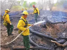  ?? ADOLPHE PIERRE-LOUIS/JOURNAL ?? An Albuquerqu­e Fire Rescue crew battles a small fire in the Rio Grande Bosque near Tingley Beach on April 26. This week, the Middle Rio Grande Conservanc­y District said it would work with local fire department­s to determine if the drought would merit bosque restrictio­ns this summer.