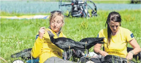  ?? FOTO: FELIX KÄSTLE ?? Die Zieheltern Corinna Ersterer (rechts) und Anne-Gabriela Schmalstie­g sitzen in einer Kolonie von rund drei Monate alten Waldrappen. Ziel ist es, die Jungvögel auf ihren Weg ins Wintergebi­et, die Toskana, zu führen. Drei bis viermal haben die...