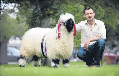  ?? Picture: MacGregor Photograph­y. ?? Westmorlan­d Edward from Tim Dunne’s Westmorlan­d flock.