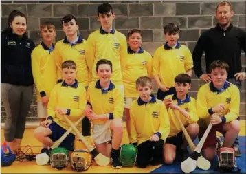  ??  ?? The Avondale CC indoor hurlers who finished runners up in Aughrim.