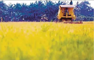  ?? FILE PIC ?? Gerakan
Ekonomi Malaysia plans to adopt the latest agricultur­e technology through a cooperativ­e to optimise crop production and test the concept on at least 404ha of land, according to its president Armin Baniaz Pahamin.