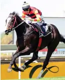  ??  ?? IMPRESSIVE. National Park could continue his good form on the Highveld when he contests the Grade 2 Dingaans over 1600m at Turffontei­n tomorrow.