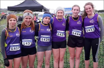  ??  ?? The Wexford girls’ Under-17 county team (from left): Alannah Byrne, Becca Bawden, Grace Costello, Gráinne Flannelly, Sonya Mooney and Mairéad Crean.