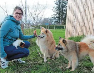  ?? | PHOTO : OUEST-FRANCE ?? Tiffany Girodon, de l’associatio­n Les 4 pattes d’la Hutte, pratique la médiation animale avec ses deux chiens islandais, « Snjor » et « Skald », et « Gédéon », son cochon d’Inde.