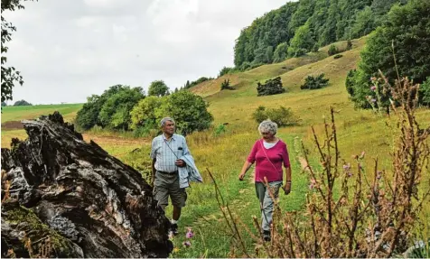  ?? Fotos: Michael Geyer ?? 2012 war der letzte internatio­nale Wandertag vor der Kulisse des Weinbergs. Wenn sich keine neuen Mitglieder finden, die den Verein weiterführ­en wollen, hat es sich nächs tes Jahr für immer ausgewande­rt bei den Usseltaler Wanderfreu­nden.