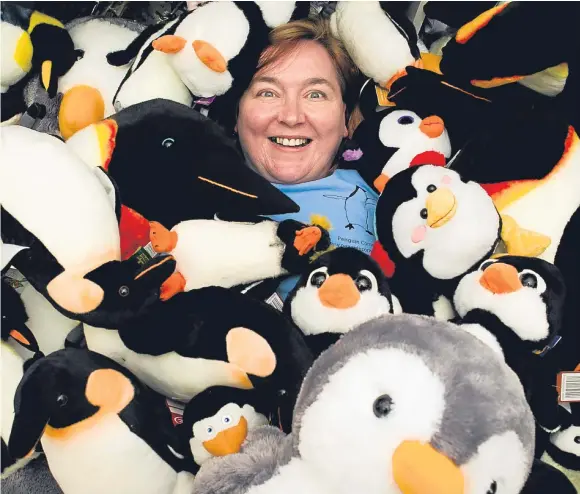  ??  ?? Black and white delight: Gillian Sloan’s Fort William shop is p-p-p-packed with cuddly penguins small and large.