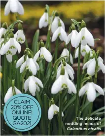  ??  ?? The delicate nodding heads of
Galanthus nivalis
l Winning vouchers are valid for a year, and can only be redeemed against an order from Hayloft Plants catalogue or online. Vouchers can be used in payment or part-payment of goods, but cannot be exchanged for cash.